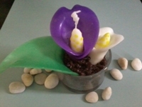 Calla with Orange & Lavender