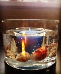 candle06